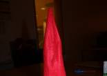 IMG_7609 (683x1024).jpg (43795 bytes)